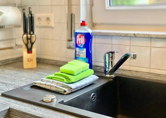 Elbflair Apartment Pirna